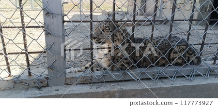 in tajikistan the beautiful land in tajikistan the beautiful land 117773927