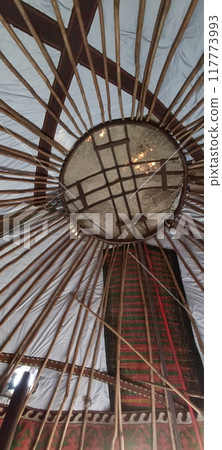 the beautiful land 117773993