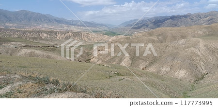 the beautiful land 117773995