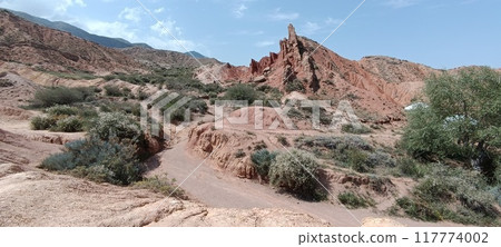 the beautiful land the beautiful land 117774002
