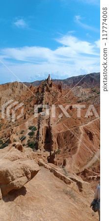 the beautiful land 117774008