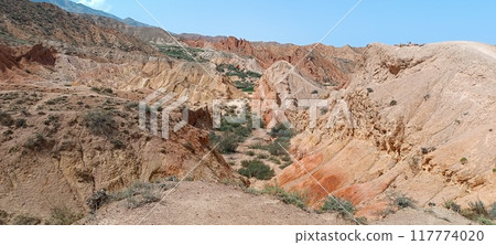 the beautiful land 117774020