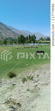 in tajikistan the beautiful land in tajikistan the beautiful land 117774086