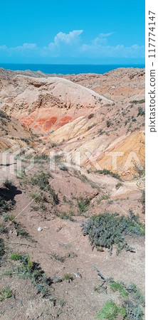 the beautiful land 117774147