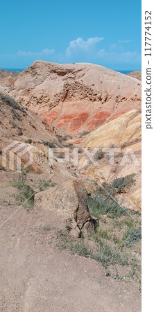 the beautiful land the beautiful land 117774152