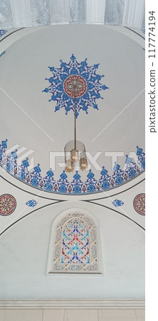 the beautiful land 117774194