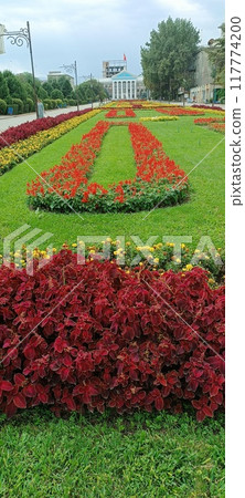 the beautiful land 117774200