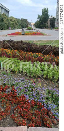 the beautiful land the beautiful land 117774201