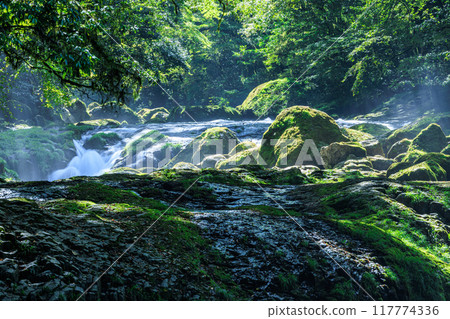 Kikuchi Gorge 117774336