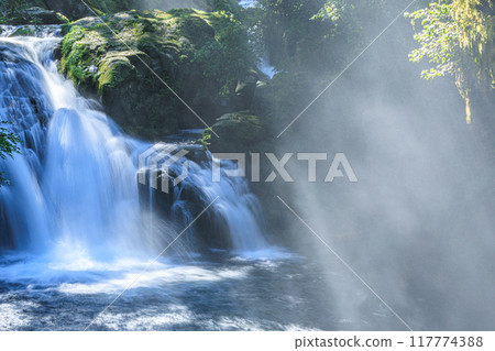 Kikuchi Gorge 117774388