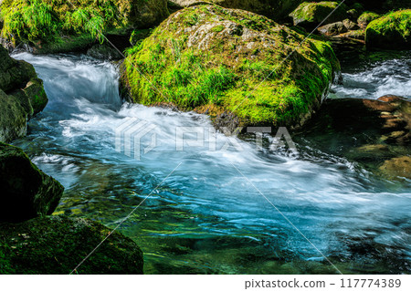 Kikuchi Gorge 117774389