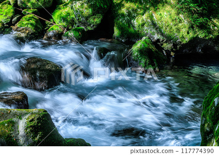 Kikuchi Gorge 117774390