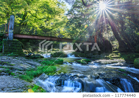 Kikuchi Gorge 117774440