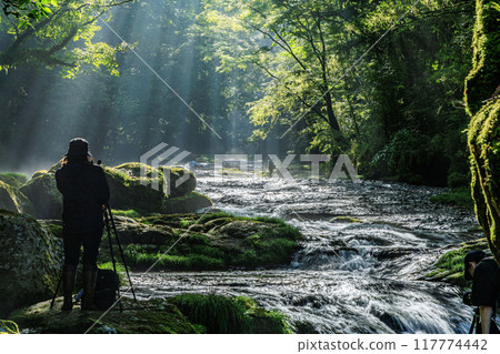 Kikuchi Gorge 117774442