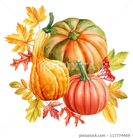Pumpkin, autumn leaves, berries isolated watercolor illustration for thanksgiving card, poster design. Vegetable pumpkin Pumpkin, autumn leaves, berries isolated watercolor illustration for thanksgiving card, poster design. Vegetable pumpkin 117774469