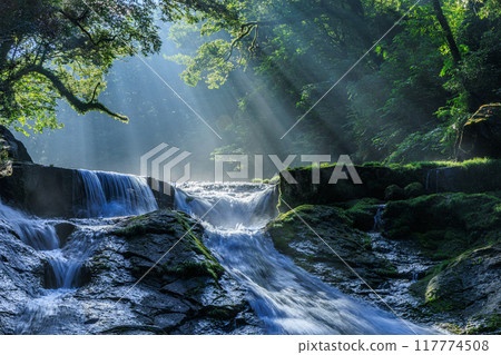 Kikuchi Gorge 117774508