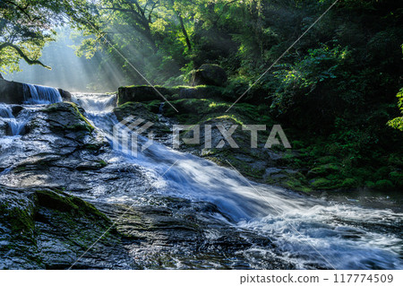 Kikuchi Gorge 117774509
