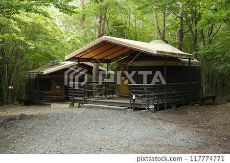 Photographed at PICA Fuji Lake Saiko camping facility in Yamanashi Prefecture. 117774771