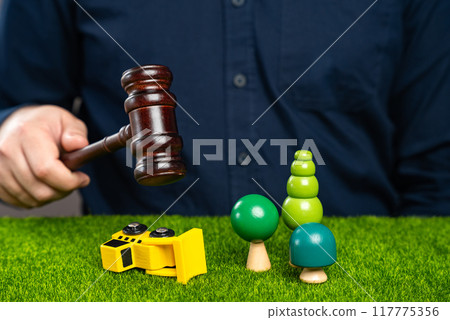 Court order bans logging. Stop the bulldozer. Save nature. Protection of natural conservation areas. Deforestation. Arrest for damaging nature. 117775356