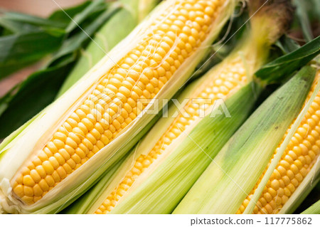 Corn from Niseko, Hokkaido - Megumi 3 Corn from Niseko, Hokkaido - Megumi 3 117775862