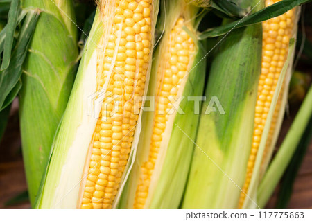 Corn from Niseko, Hokkaido - Megumi 4 Corn from Niseko, Hokkaido - Megumi 4 117775863