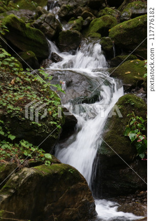 Small waterfall Small waterfall 117776182
