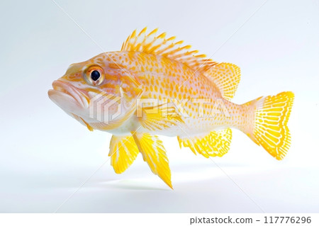 Bright yellow fish swimming on light background 117776296