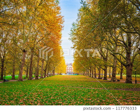 Autumn in the park, London Autumn in the park, London 117776333