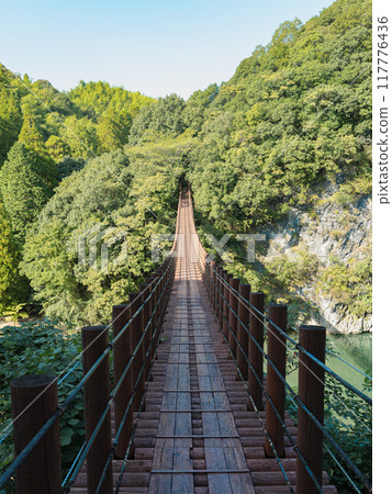 Tategami Gorge Suspension Bridge 117776436