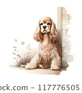 American Cocker Spaniel leaning against a wall 117776505