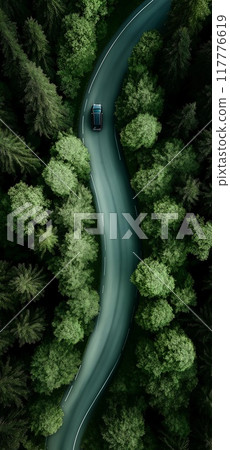 Flatlay. Highway road in the forest top view, Road stories Flatlay. Highway road in the forest top view, Road stories 117776619