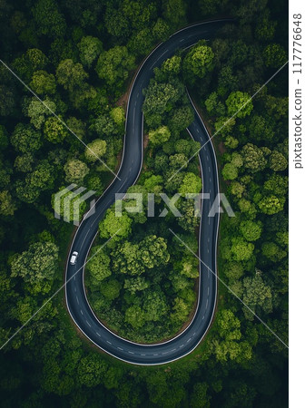 Flatlay. Highway road in the forest top view 117776648