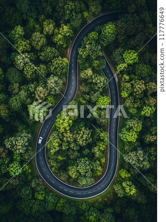 Flatlay. Highway road in the forest top view 117776649