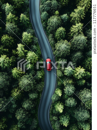 Flatlay. Highway road in the forest top view Flatlay. Highway road in the forest top view 117776651