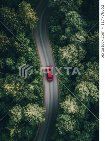 Flatlay. Highway road in the forest top view 117776652