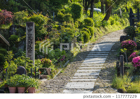 日本:岐阜縣中津川市中山道宿間町馬込宿街景 日本:岐阜縣中津川市中山道宿間町馬込宿街景 117777229