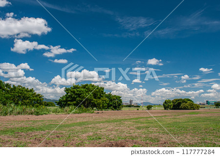 Yodogawa River Park Summer Scenery Neyagawa City Yodogawa River Park Summer Scenery Neyagawa City 117777284