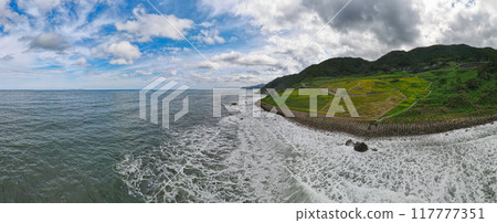 Aerial view of Shiroyone Senmaida rice fields 117777351