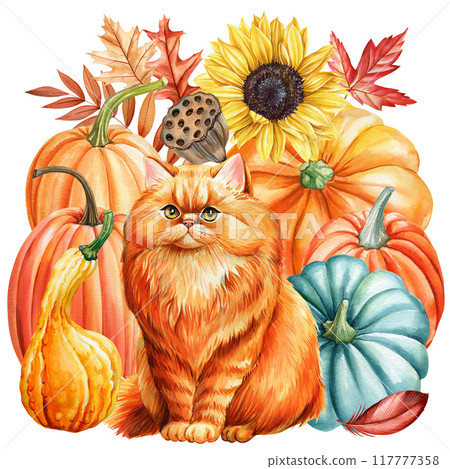 Autumn red cat, pumpkins, leaves isolated background. Hand painted watercolor cute animal illustration, realistic cat Autumn red cat, pumpkins, leaves isolated background. Hand painted watercolor cute animal illustration, realistic cat 117777358