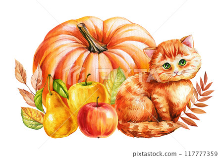 Autumn kitten, pumpkins, dry leaves isolated background. Hand painted watercolor cute animal illustration, realistic cat 117777359
