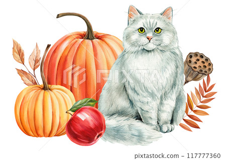 Autumn white cat, pumpkins, dry leaves isolated background. Hand painted watercolor animal illustration, realistic cat Autumn white cat, pumpkins, dry leaves isolated background. Hand painted watercolor animal illustration, realistic cat 117777360