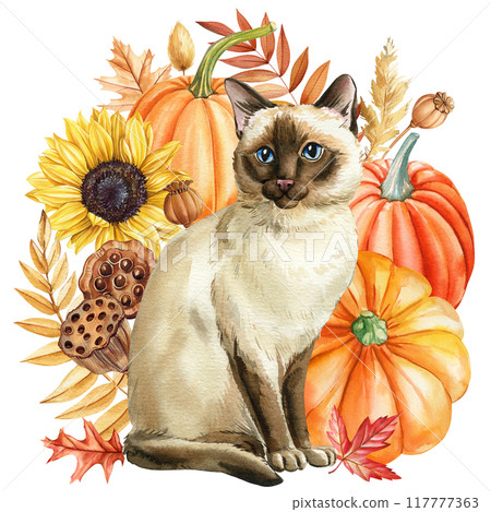 Autumn cat, pumpkins, dry leaves isolated background. Hand painted watercolor thanksgiving illustration, realistic cat Autumn cat, pumpkins, dry leaves isolated background. Hand painted watercolor thanksgiving illustration, realistic cat 117777363
