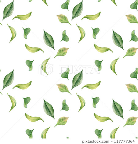 Green leaves watercolor seamless pattern isolated on white. Tea leaf botanical art hand drawn by pattern background. Textured foliage print painted. Greenery petals design endless wallpaper, textile. Green leaves watercolor seamless pattern isolated on white. Tea leaf botanical art hand drawn by pattern background. Textured foliage print painted. Greenery petals design endless wallpaper, textile. 117777364
