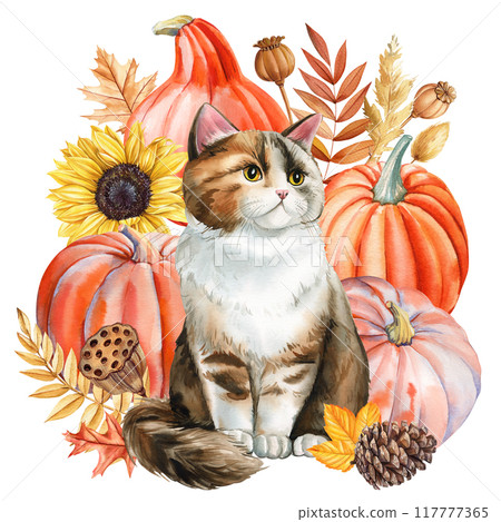 Autumn cat, pumpkins, dry leaves isolated background. Hand painted watercolor thanksgiving illustration, realistic cat Autumn cat, pumpkins, dry leaves isolated background. Hand painted watercolor thanksgiving illustration, realistic cat 117777365