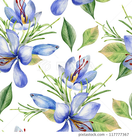 Saffron flowers watercolor in seamless pattern isolated on white. Crocus sativus on repeated botany background hand drawn. Spring blue plants leaves petals painted for design textile, floral package. Saffron flowers watercolor in seamless pattern isolated on white. Crocus sativus on repeated botany background hand drawn. Spring blue plants leaves petals painted for design textile, floral package. 117777367