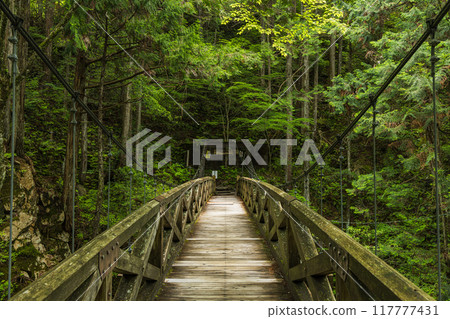 日本岐阜縣中津川市湯森公園通往龍神瀑布的吊橋 117777431