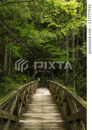 日本岐阜縣中津川市湯森公園通往龍神瀑布的吊橋 117777432