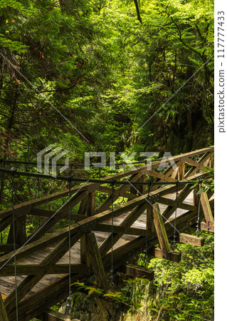 Suspension bridge leading to Ryujin Falls in Yumori Park, Nakatsugawa City, Gifu Prefecture, Japan 117777433