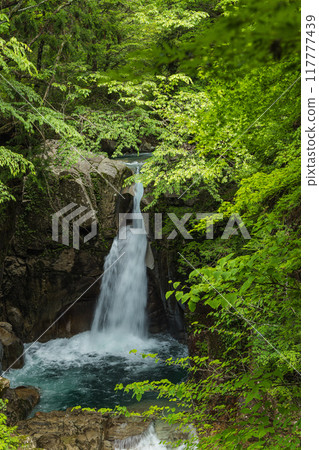 Ryujin Falls in Yumori Park, Nakatsugawa City, Gifu Prefecture, Japan Ryujin Falls in Yumori Park, Nakatsugawa City, Gifu Prefecture, Japan 117777439