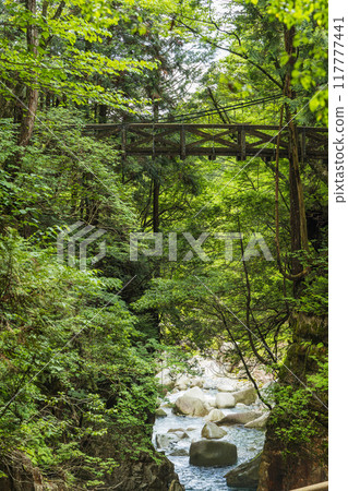 Suspension bridge leading to Ryujin Falls in Yumori Park, Nakatsugawa City, Gifu Prefecture, Japan 117777441